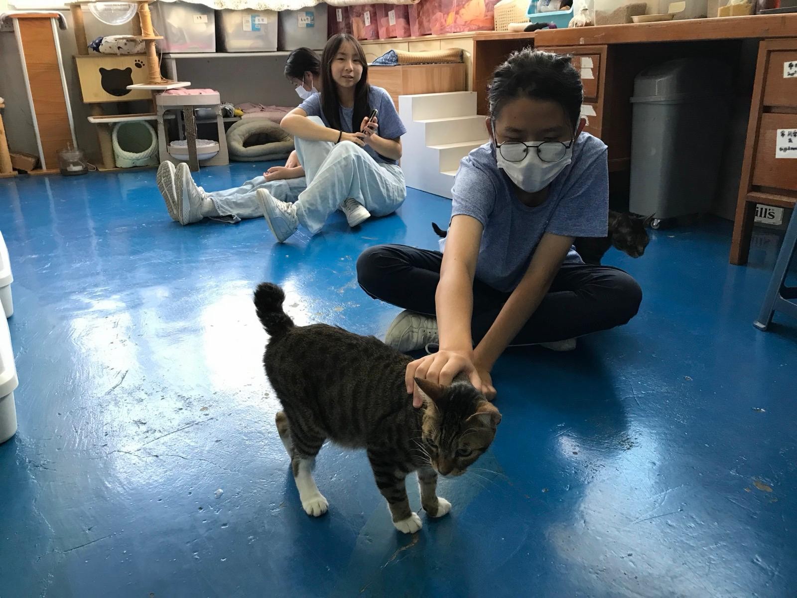 輔導活動相片 49